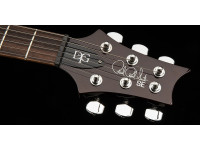 PRS SE DGT Standard Moons MTS PRS SE DGT Standard Moons MTS